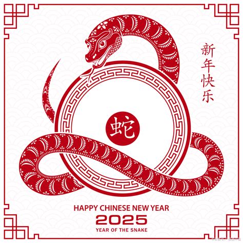 2025年是什么生肖|2025年属什么生肖